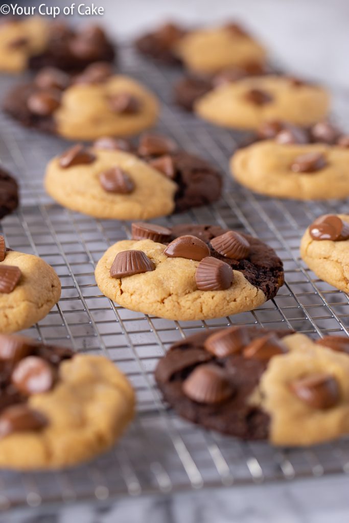 Ultimate Chocolate Peanut Butter Cookies with Reese's Peanut Butter Cups