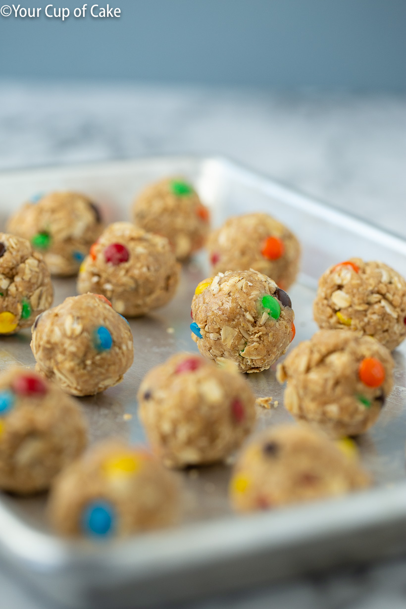 Monster Cookie Protein Bites recipe