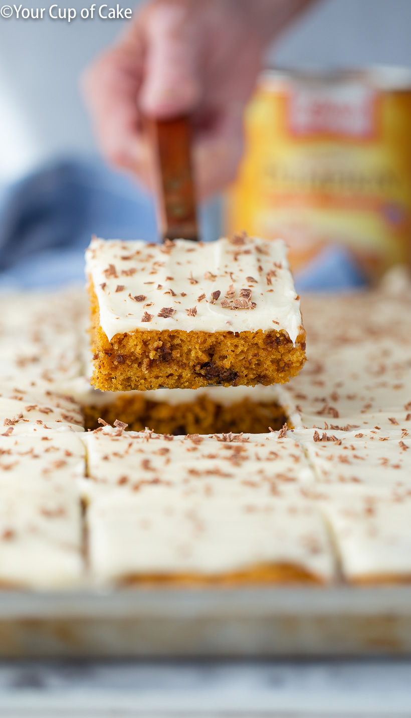 LOVE this recipe! Pumpkin Chocolate Chip Sheet Cake