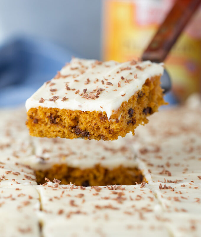 I make this Pumpkin Chocolate Chip Sheet Cake EVERY YEAR! It's SO good!