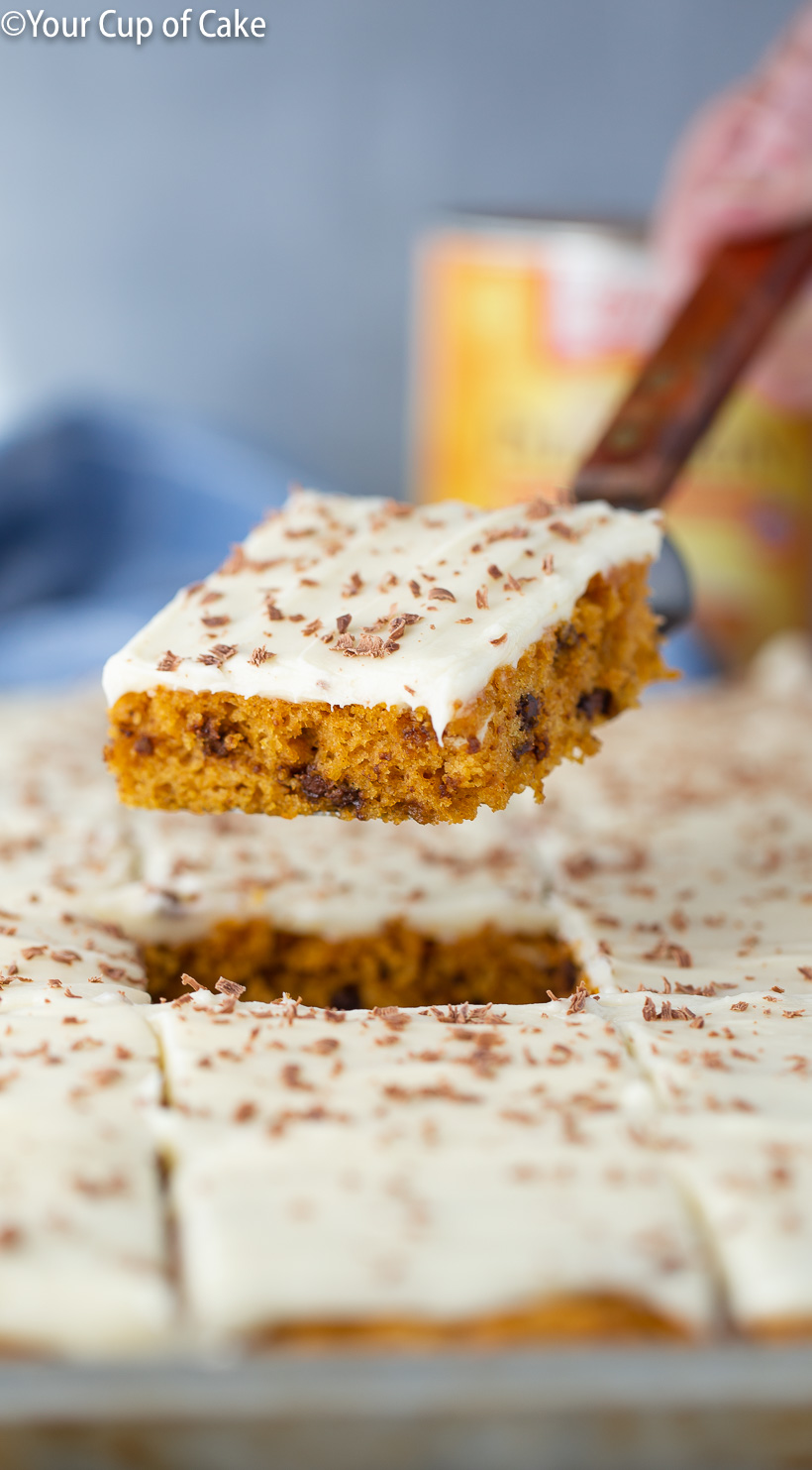 I make this Pumpkin Chocolate Chip Sheet Cake EVERY YEAR! It's SO good!