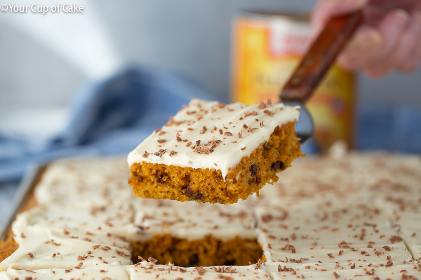 Pumpkin Chocolate Chip Sheet Cake with cream cheese frosting