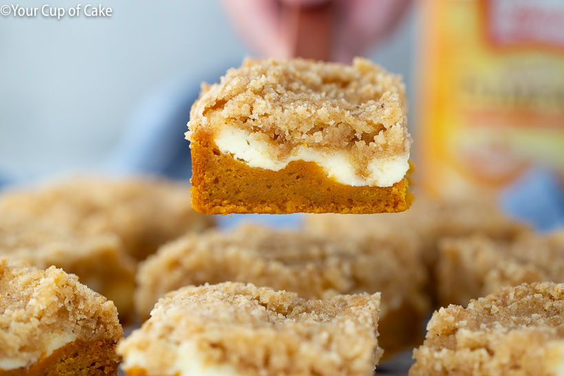 Pumpkin Cream Cheese Coffee Cake, YUM!