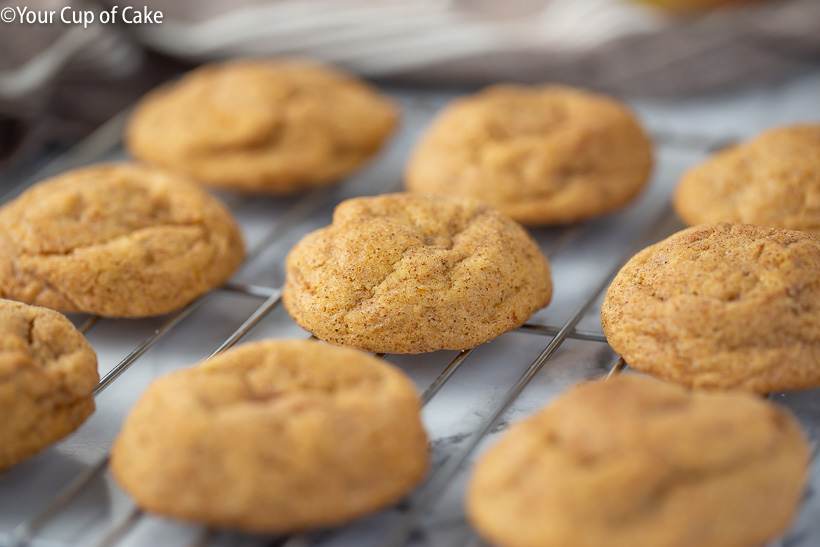 The best pumpkin cookies for fall and all the PLS lovers