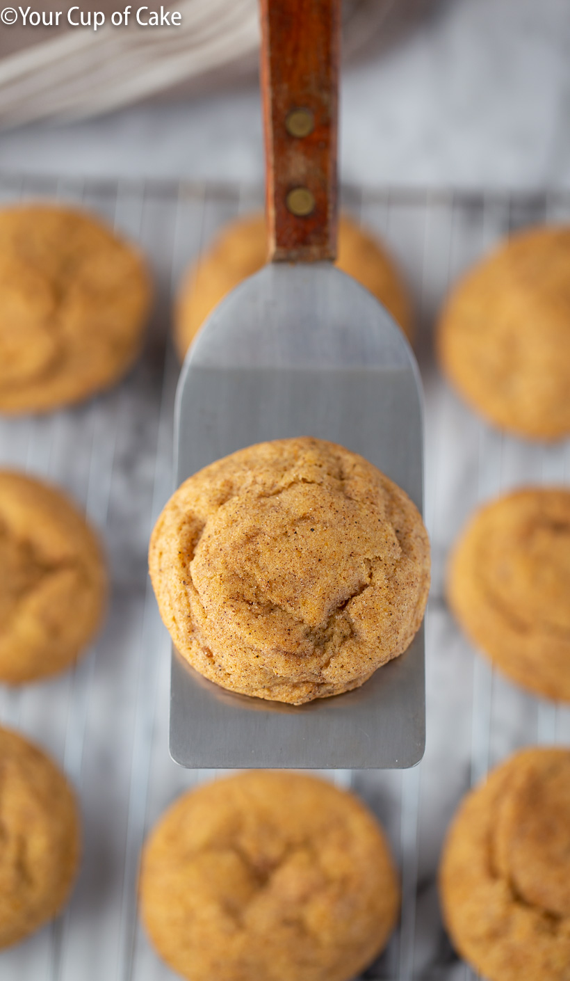 LOVE these cookies! AMAZING Pumpkin Snickerdoodles