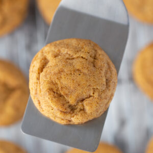 I'm OBSESSED with these pumpkin cookies! AMAZING Pumpkin Snickerdoodles