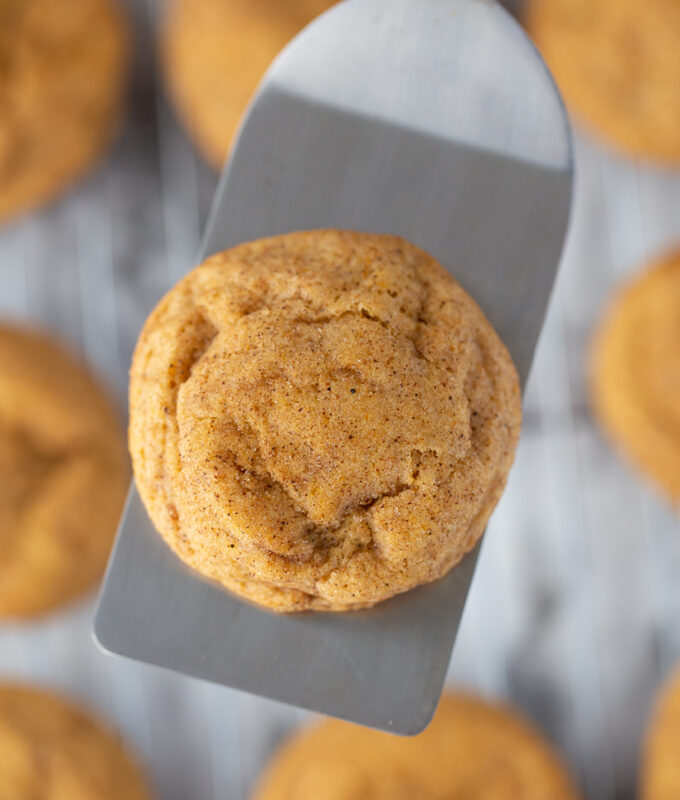 I'm OBSESSED with these pumpkin cookies! AMAZING Pumpkin Snickerdoodles