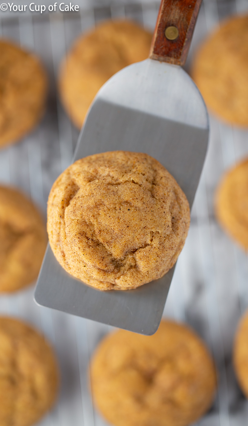 I'm OBSESSED with these pumpkin cookies! AMAZING Pumpkin Snickerdoodles