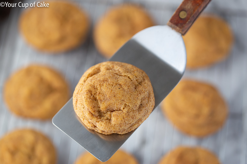 THE BEST Pumpkin Snickerdoodle recipes for pumpkin cookies